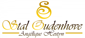logo_stal_oudenhove_middel