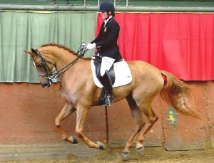 GOLDEN GALOP L6 ROYAL ETRIER 001