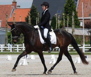 Iluga Star 5 jaar