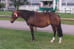 ladykroon