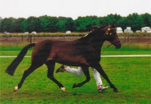 piorutra