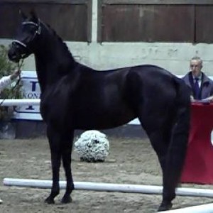 gesves3jr