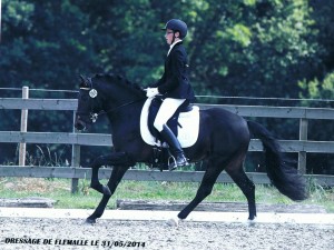 Polsbury Pavarotti en Cyriel