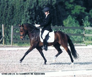Subliem's Ilias en Cyriel