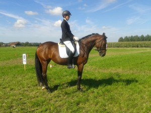 Lilly Rose Provinciaal
