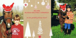 kerstkaart 2015