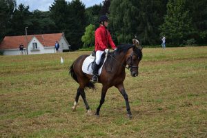 ilias b2